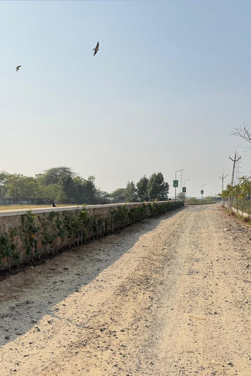 Site Work January 2026